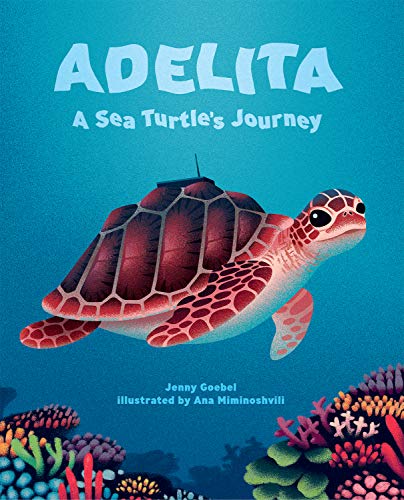 Adelita, a sea turtle's journey